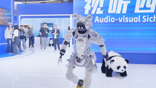 刺激性的动作